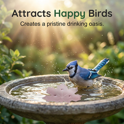 🔥Buy 1 Get 1 FREE!!💧Universal Bird Bath Purifier | Keep Water Crystal Clear & Algae-Free 🕊️